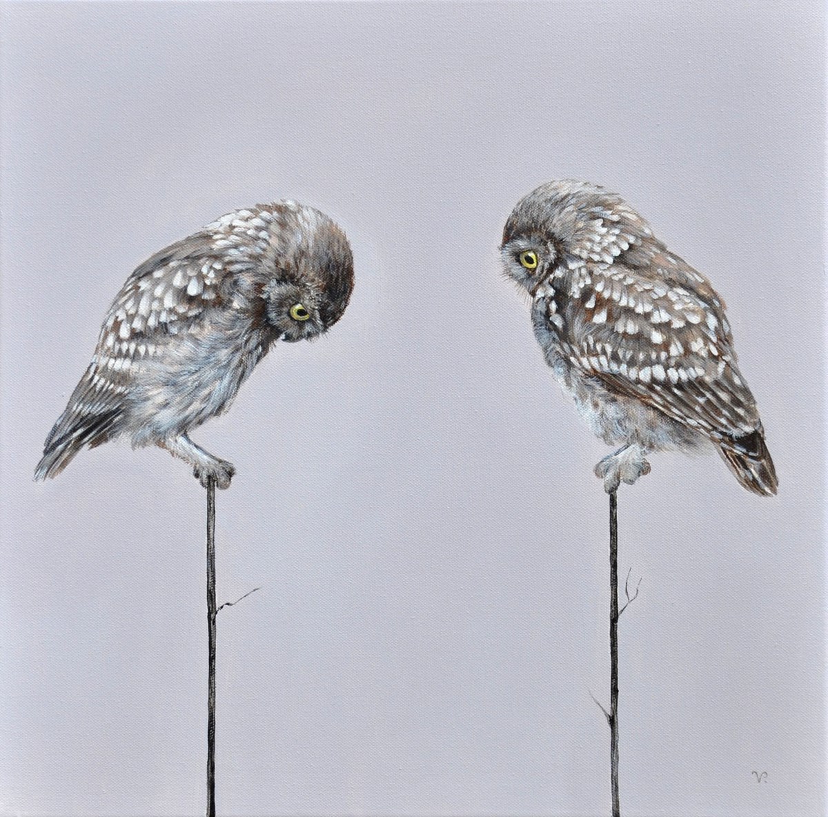 Twit Twoo